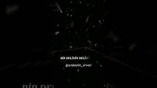 Bir Delinin Delisiyim