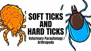 Soft Ticks And Hard Ticks | Veterinary Parasitology Arthropods | BVSc, ICAR PG, VO & UPPCS screenshot 5