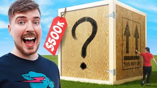 I Bought The World's Largest Mystery Box! $500,000