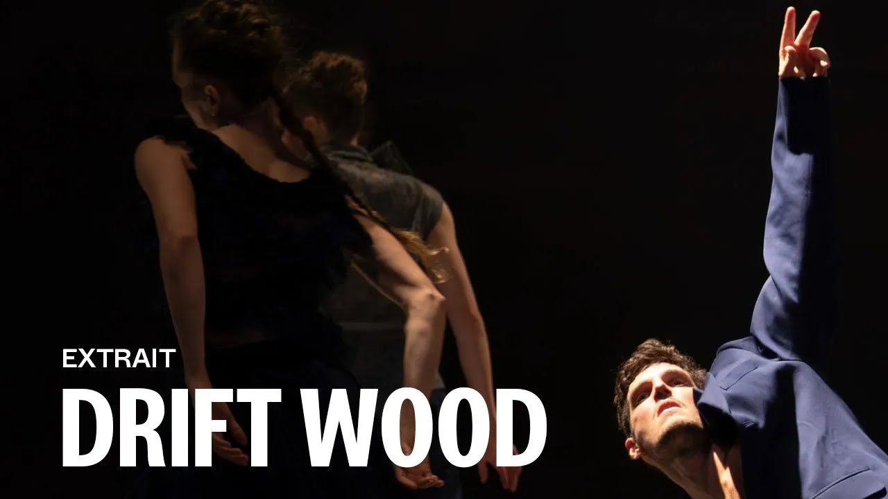 DRIFT WOOD by Imre & Marne van Opstal (Baptiste Bénière)