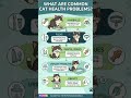 What Are Common Cat Health Problems #petcare #cat #petcareprovider #catfacts #cutecat #usashorts