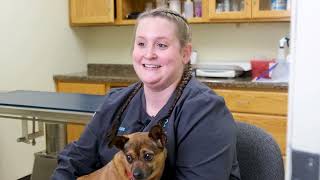Veterinary Technology - Program Overview Wealth
