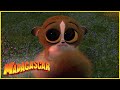 Mort es el MEJOR | DreamWorks Madagascar en Español Latino