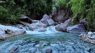 Bubbling spring water sound, forest sound that make you fall asleep in 10 minutes, meditation, ASMR