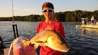 Redfish FEEDING FRENZY in Tampa Bay! screenshot 5