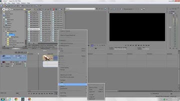 Sony Vegas Pro 14 Tutorial   How to separate your audio from your video