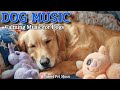 20 Hours of Calming Dog Music🦮💖Relaxing Music Dog Sleep Naps🎵🦮Ease Dog Anxiety, Dog TV