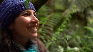 A movement for the Great Forest National Park