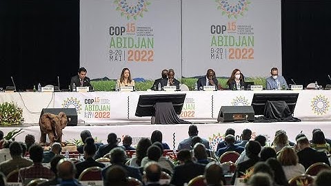 COP15 desertification conference ends in Abidjan