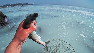 СОБИРАЮ СЕЛЁДКУ РУКАМИ 🐟 Селёдка кишит