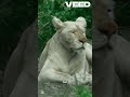 قصة نوح عليه السلام طارق السويدان نوح 2025 