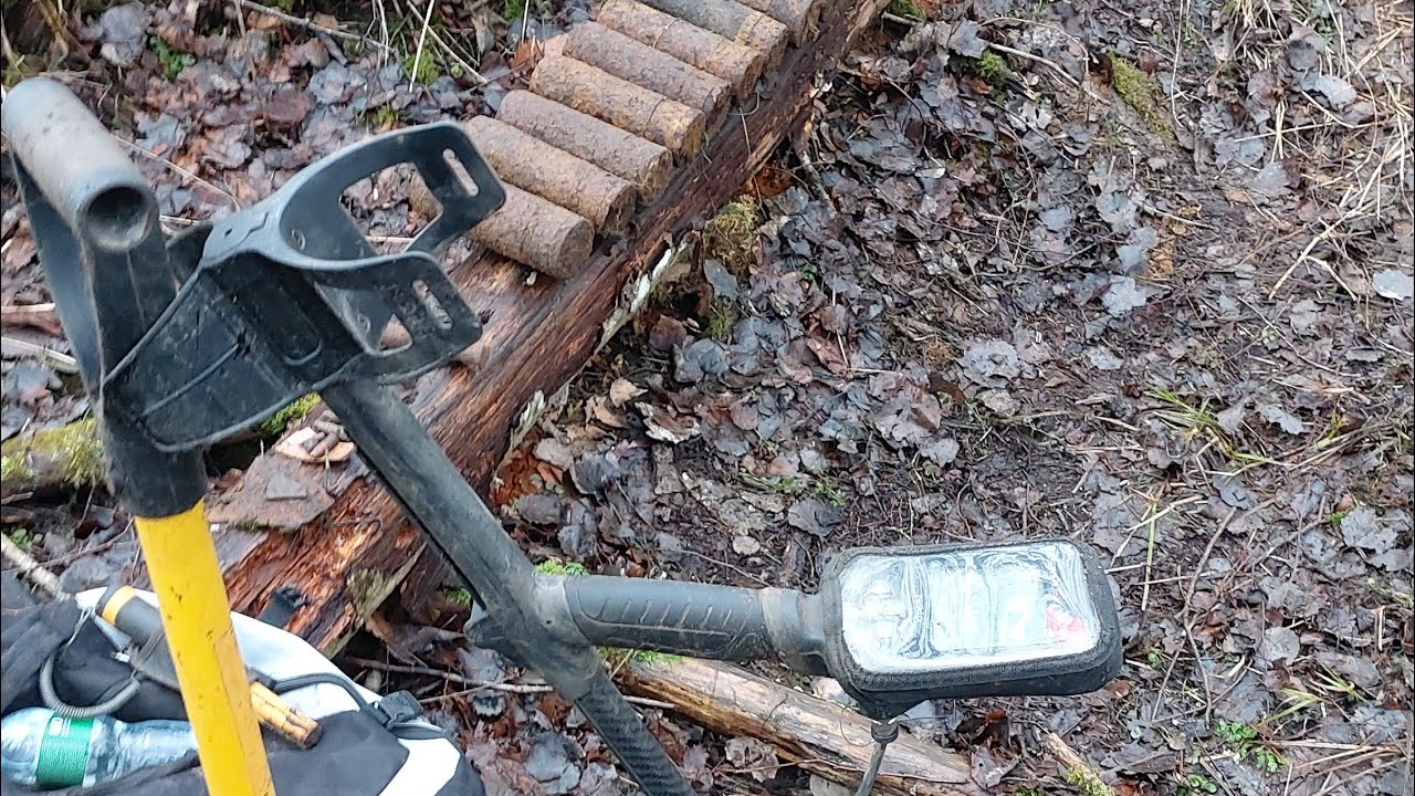 Lobių paieškos. Aplankėm vieną miškelį, netikėti radiniai.