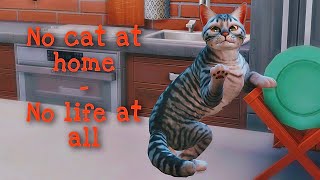 || TS4 || No cat at home - no life at all || Без кота и жизнь не та