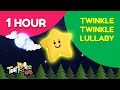 Twinkle Twinkle Little Star | Lullaby | Nursery Rhymes | Toonbee Kids