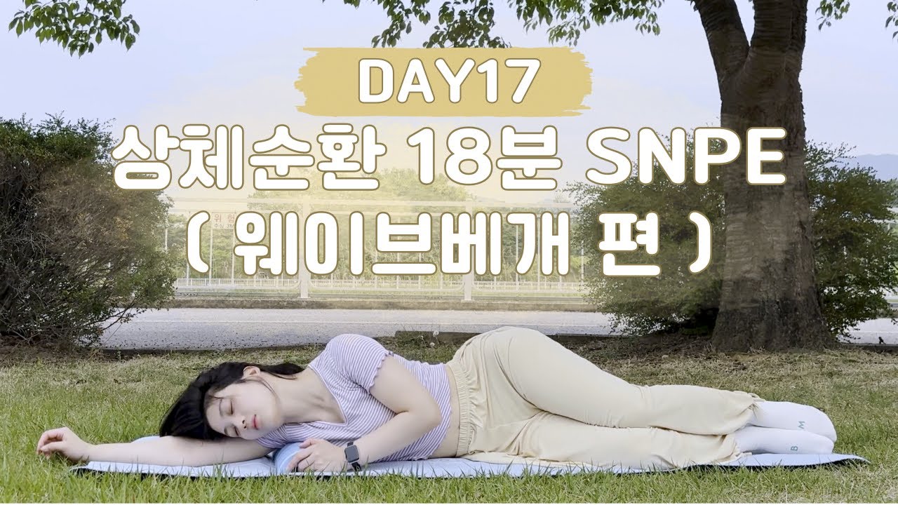 목·어깨·등·가슴 다 푸는 SNPE 홈루틴 | 18분 SNPE 상체순환 (웨이브베개편) | 몸맘일기