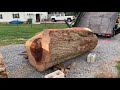 This Log Is Way Too Big For My Sawmill, A Sawyer's Vlog