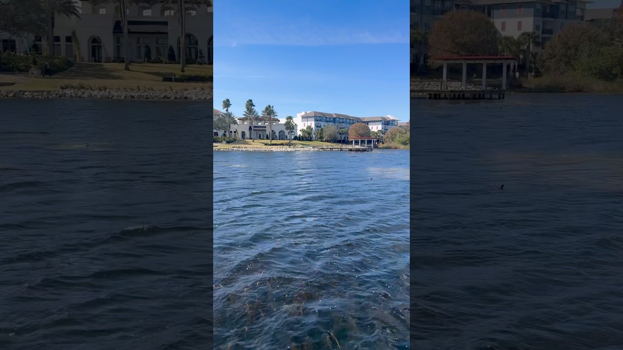 Grateful to Be by These Orlando Views in the Winter 🙌🏾