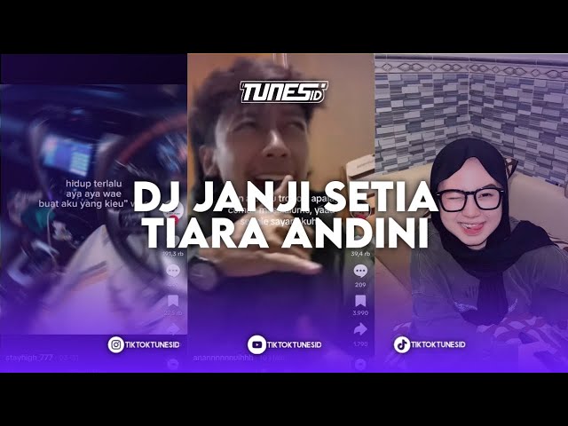 DJ JANJI SETIA TIARA ANDINI ANTI GALAU SOUND STAYHIGH_777 REMIX BY @FarrijRmx class=