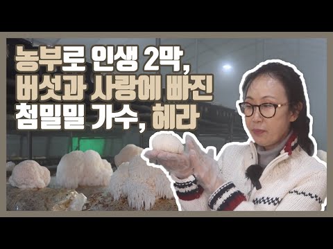 농부로 인생 2막, 버섯과 사랑에 빠진 <strong>첨밀밀</strong> 가수, 헤라 | 생생투데이 사람과 세상, (KBS 2022.11.04. 금 방송)