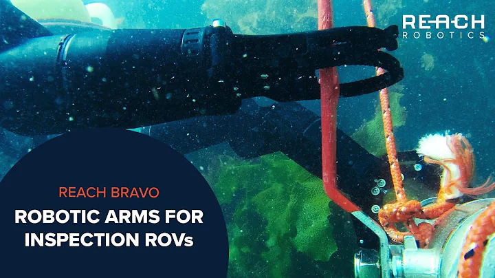 Reach Bravo - Essential Underwater Manipulators for Inspection ROVs | Reach Robotics