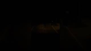 What a nice dog🥰 #vrchat #vrchatshorts #shorts #quest3 #quest3vr #quest3gameplay #vrchatmoments