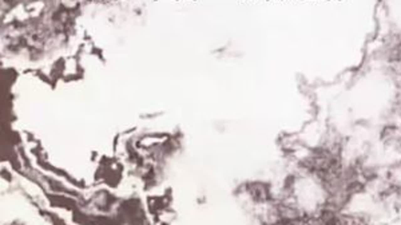 第324日，「临别之际」· 滔滔河水鸟语声声光满地，聚散离别总会来临登望远。#徒步中国 #大美中国 #公度云游录 #说走就走的旅行 #我的旅行日记