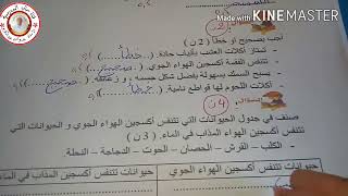 السنة الثالثة:  اختبار رقم 02 للتربية العلمية