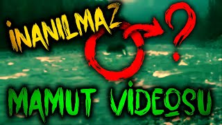İNANILMAZ MAMUT VİDEOSU | Çok Şaşıracaksınız