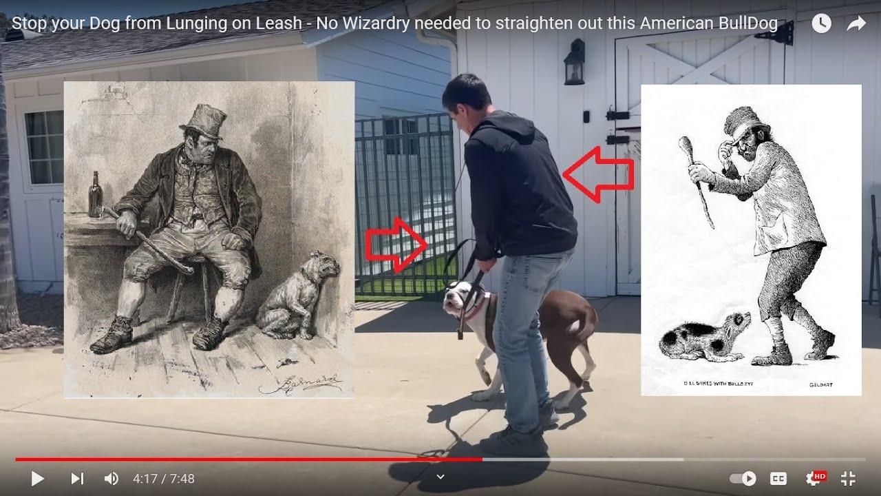 Over Controlling Dog Trainer Misuses Training Tool | ~ Dog Trainer Review