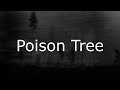 Grouper - Poison Tree (Lyrics In Japanese & English / 英詞 +日本語私訳)
