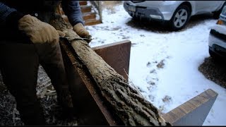 SELF BOW BUILD 2018 - PART 1 - PICKING THE TREE. SPLITTING STAVES. BARK REMOVAL.