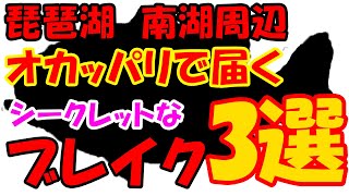 南湖周辺オカッパリで届くブレイク、ベスト3選！！