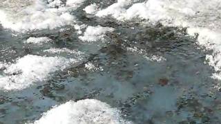Glacier Ice Stream.avi