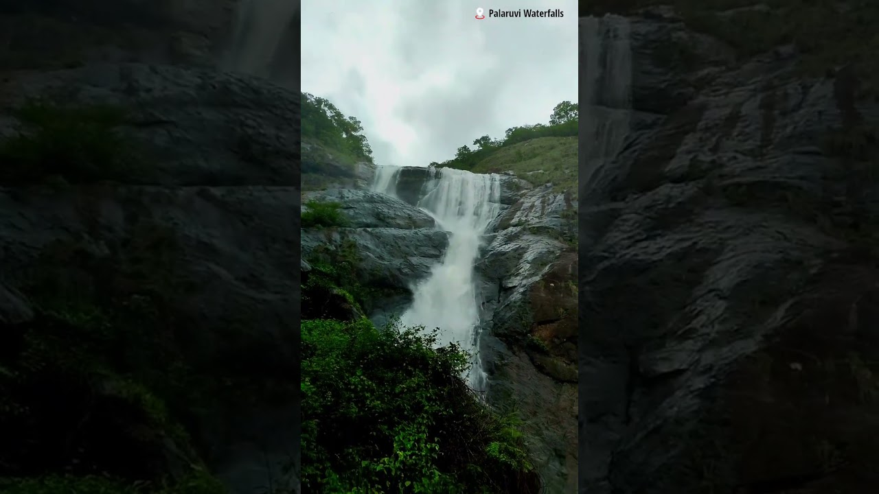 Palaruvi Waterfalls | Thenmala Dam | Thenmala Eco Tourism 