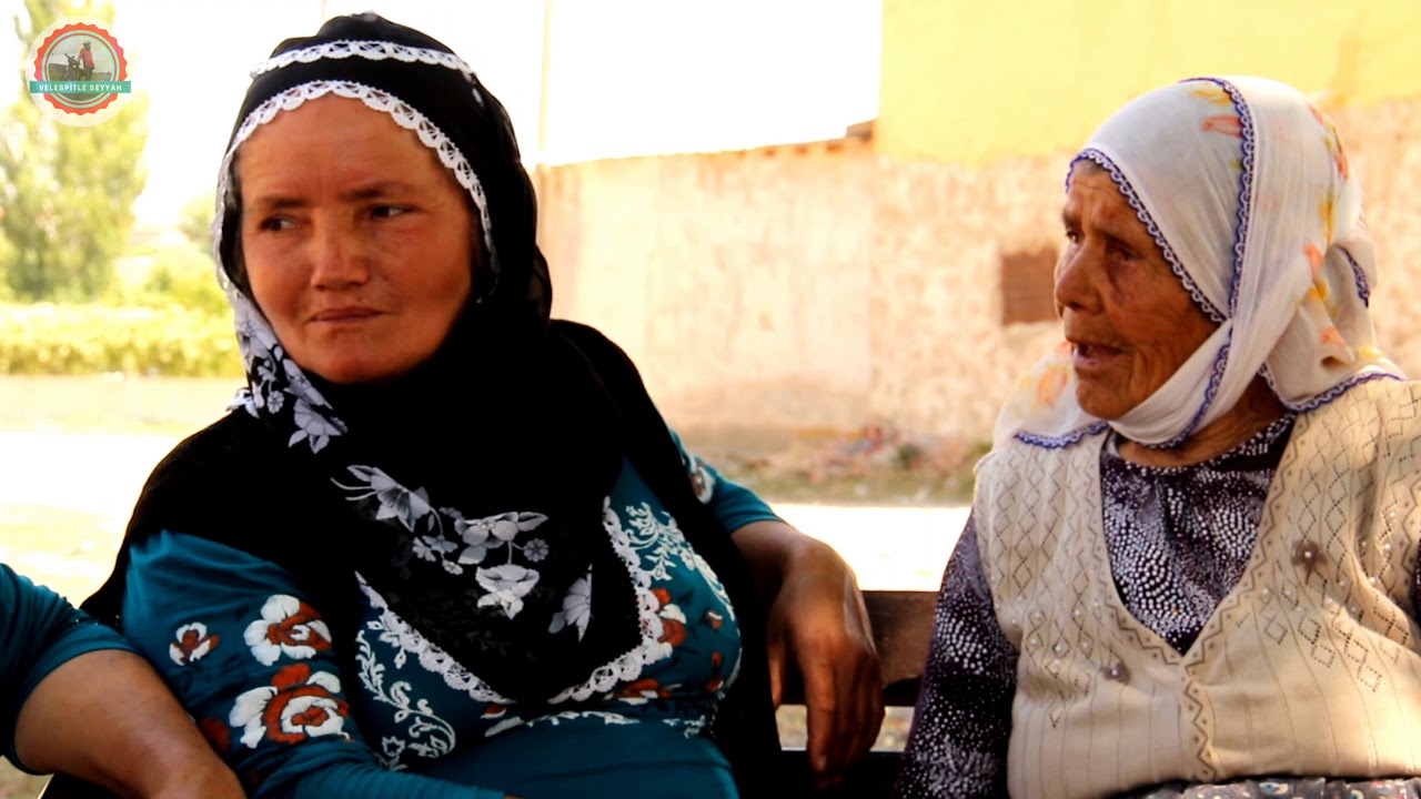 Bir çınar ile sohbet