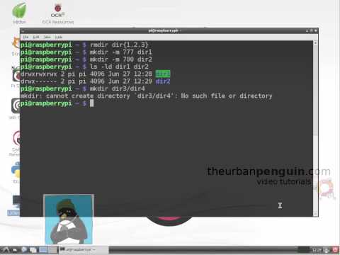 LPIC-1 103.3 mkdir and rmdir