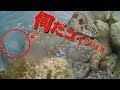 【驚驚】穴釣りの真横にありえないモンスターが・・・
