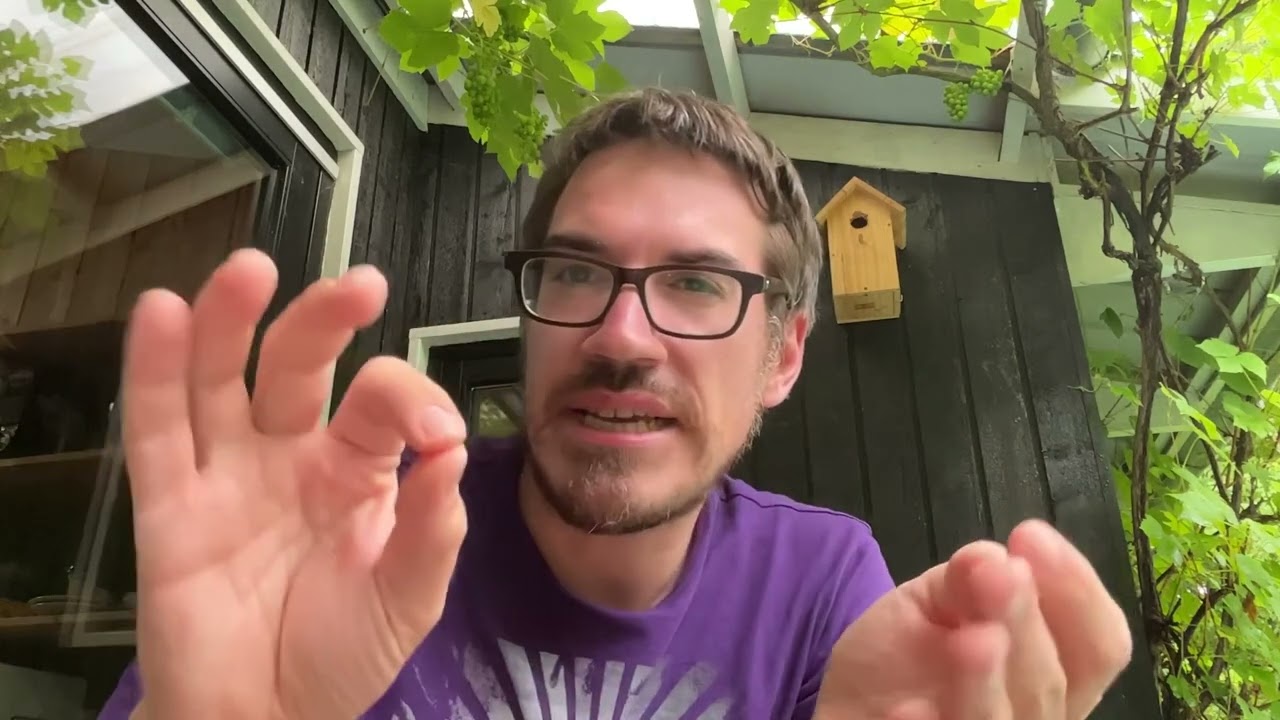 Vorsicht: 2 Euro Münze aus Monaco - wird diese begehrte Mega-Rarität zum Reinfall des Jahres?