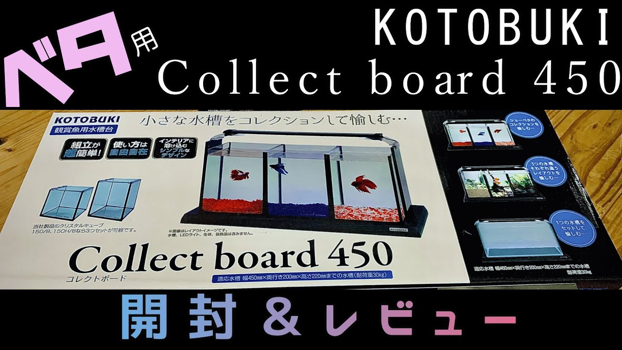 ベタ水槽！安価で超おしゃれ コトブキ collect board450 コレクト