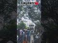 Srivariseva Day 06♥️. #tirupati #tirumala #govinda #travel #ytshorts #vlog #love