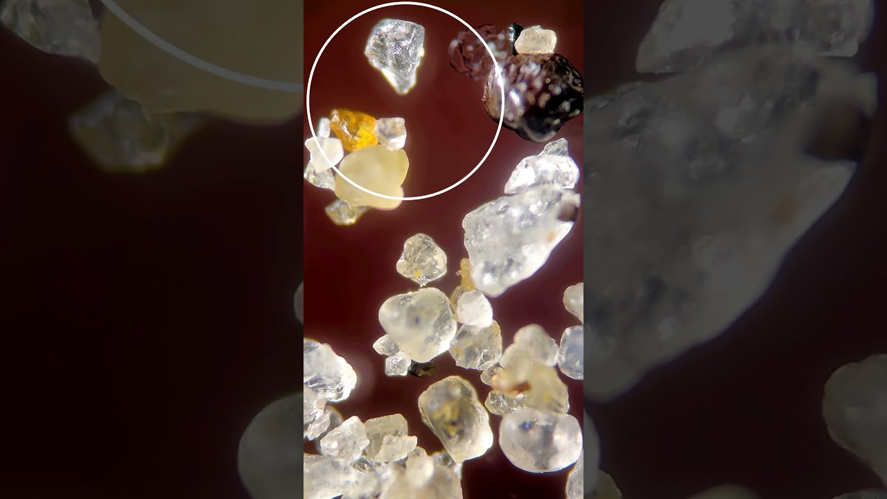 Beach sand under the microscope is amazing