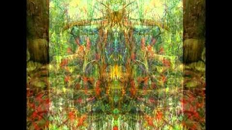 Patterns of Life