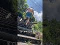 【減量中の川での過ごし方】#Shorts