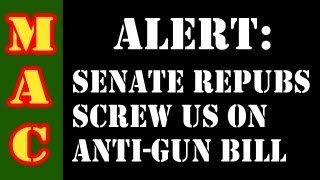 Senate Republicans Screw Gun Owners