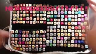 262 Alcohol Markers from Temu swatched!