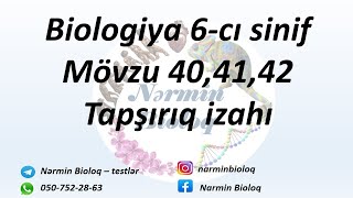 Biologiya 6-cı sinif Mövzu 40,41,42 Tapşırıq izahı