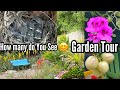 Garden tour growing tips birds nest  nature talk groundcontainer gardening vegetables  flowers