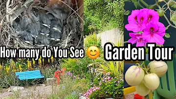 Garden Tour Growing TIPS, Birds, Nest & Nature Talk, Ground/Container Gardening Vegetables & Flowers