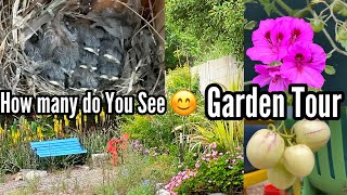 Garden Tour Growing TIPS, Birds, Nest & Nature Talk, Ground/Container Gardening Vegetables & Flowers screenshot 2