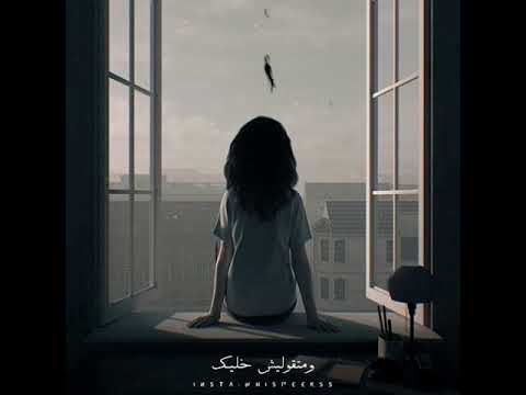 حالات واتس تامر عاشور اخر مقابله 